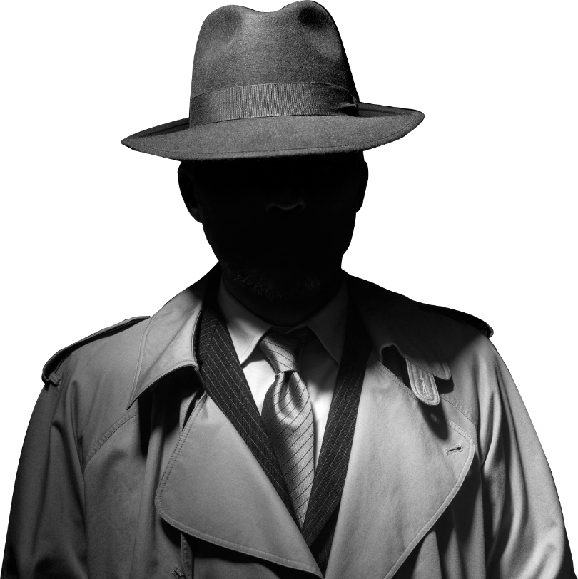 detectivesprivados.lat